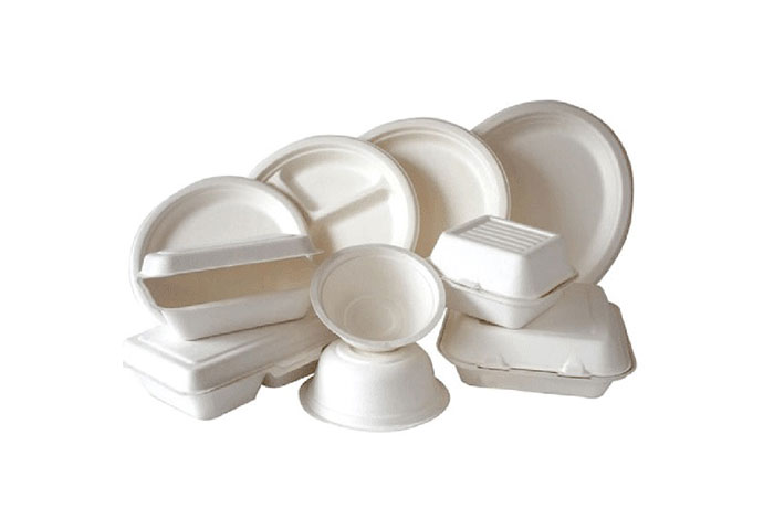 Disposable Bagasse product